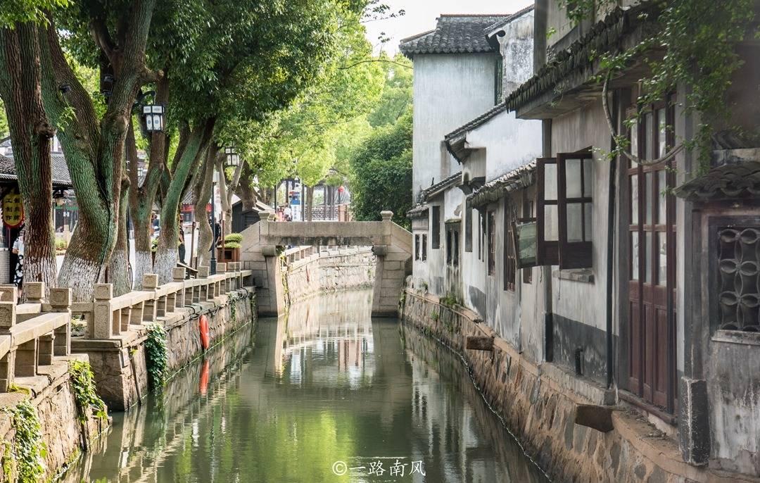 大鱿鱼怎么做不酸又好吃？